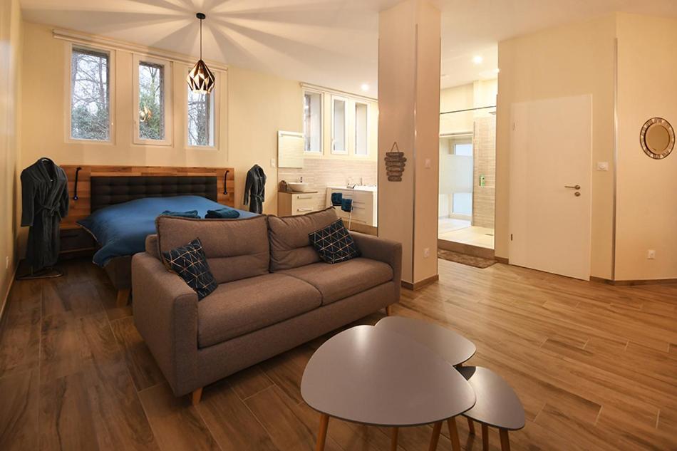 Appartement Loft Detente ストラスブール エクステリア 写真