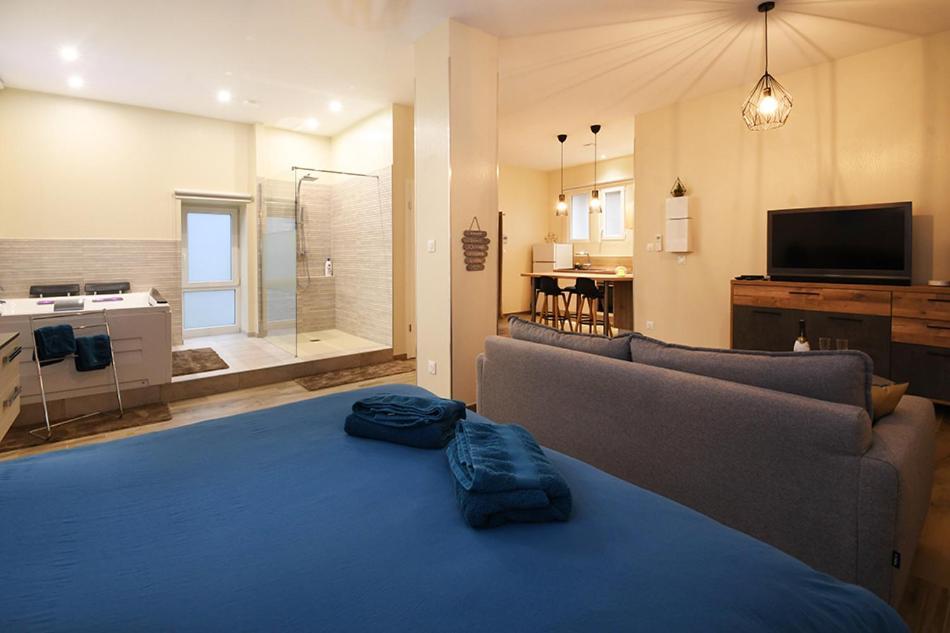 Appartement Loft Detente ストラスブール エクステリア 写真